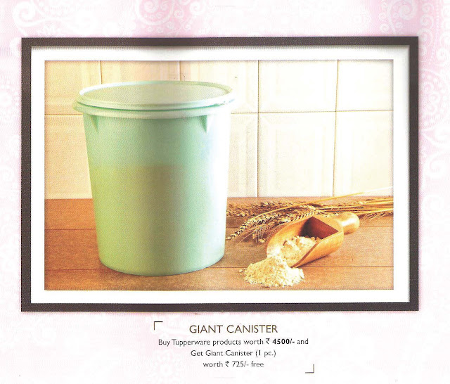 Tupperware November 2012 consumer flyer