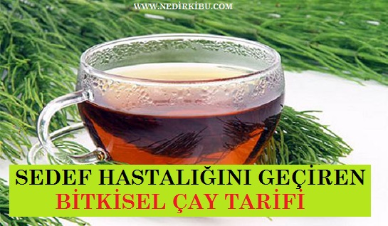 Sedef Hastalığını Geçiren Bitkisel Kür Tarifi