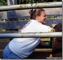 insemin-vacas-07