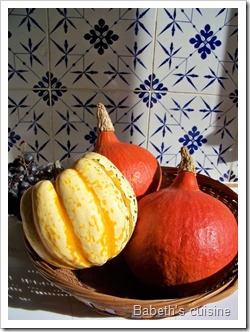 potimarron et patidou