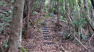 人文研究見聞録：神代神社 ［島根県］