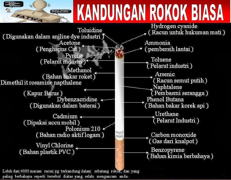 30 Ide Populer Bahan Rokok