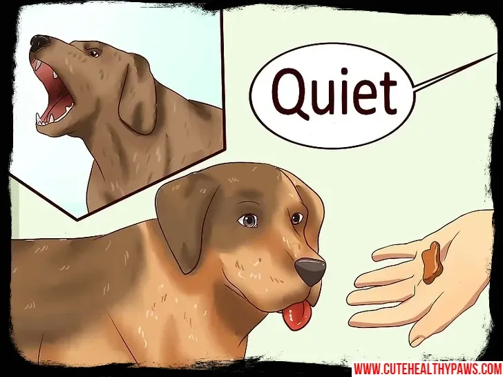 stop the dog's annoying barking