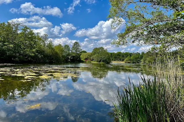 Enjoy a walk around the lake at Belhus