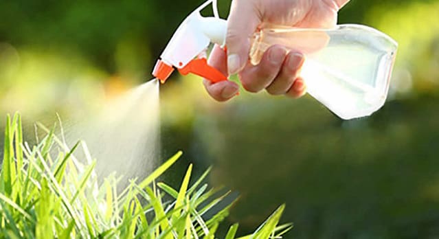 Cómo usar vinagre para eliminar malas hierbas en tu jardín