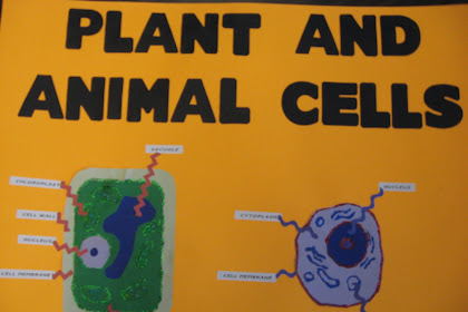 Plant And Animal Cells / Junior Historians: Awesome Plant & Animal Cells - Cell walls provide support and give shape to plants.
