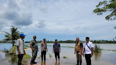 Muspika Peureulak Barat Monitoring Sawah,Ajak Masyarakat Bergotong Royong 