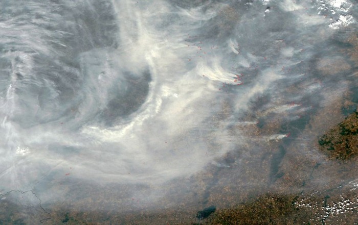 russia-forest-fire (12)