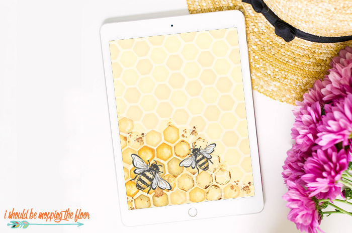 Honey Bee Wallpaper