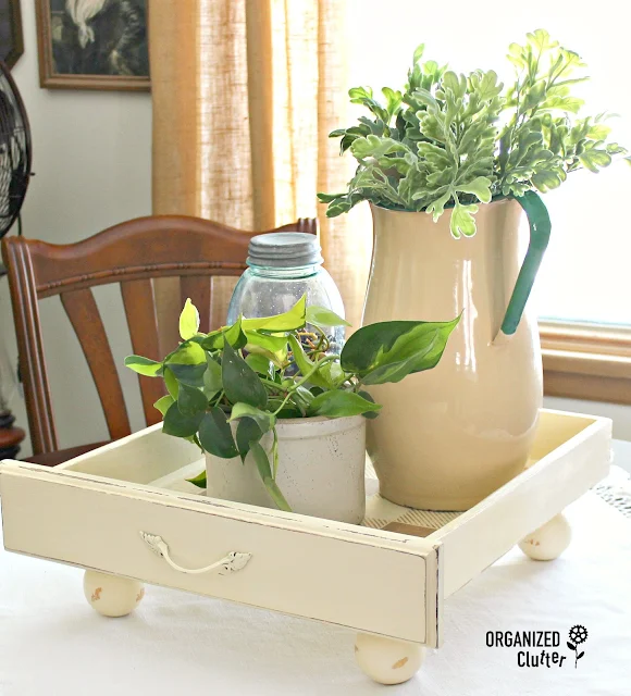 Repurposed Drawer House Plant Tray #repurpose #drawerrepurpose #stencil #buffalocheck #oldsignstencils #houseplants