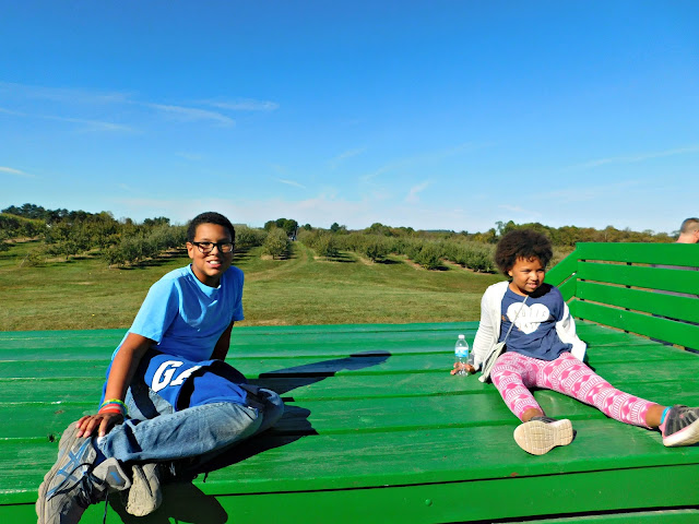 Fall Fun Fest and Almost Apple Picking Again