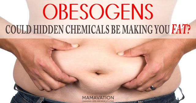 obesogens