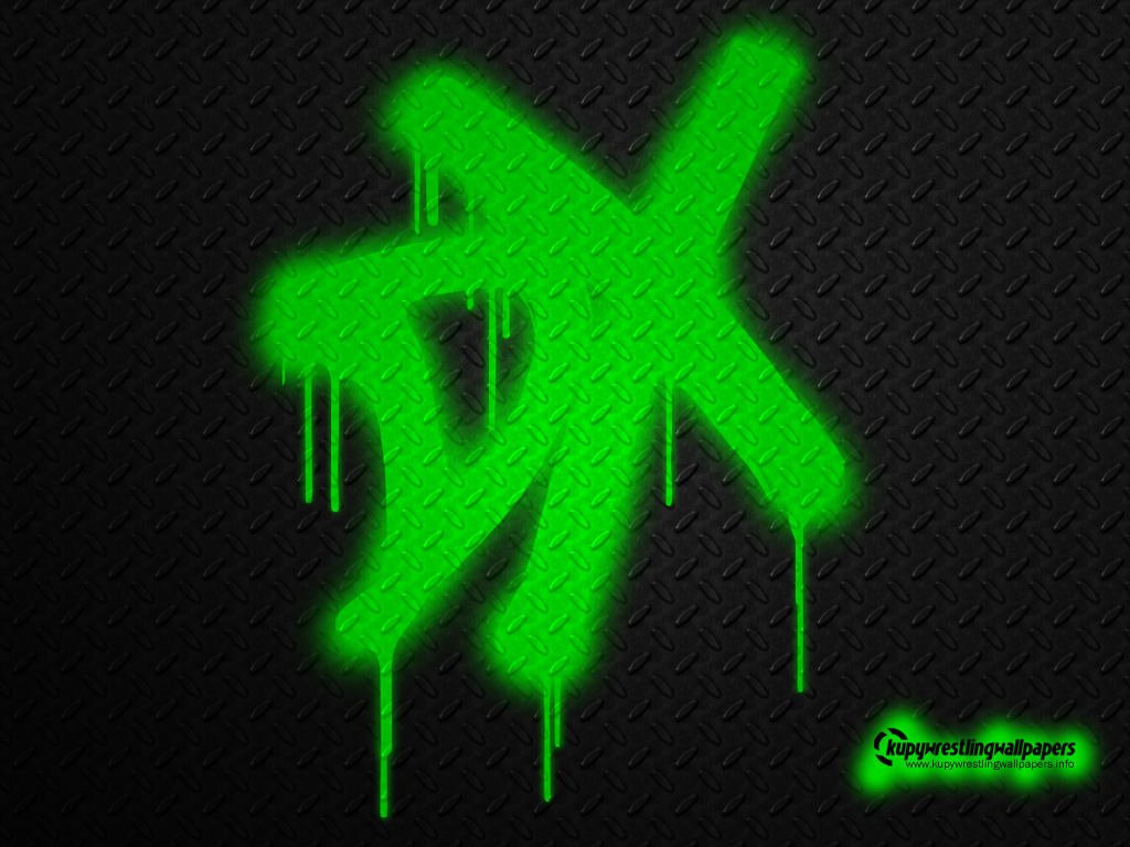 DX Army Wallpapers , D Generation X , Shawn Michael and Triple H