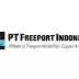 PT Freeport Indonesia: Info Gaji, Tunjangan, Benefit, Slip Gaji, dan Profil