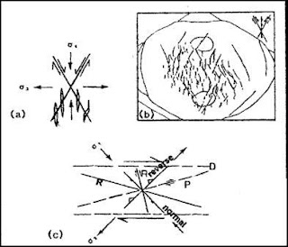 Gambar 3. Riedel Shear Model (a dan c) serta model bentuk sesar pada Lempung (Lowell, 1985) dalam Harris 1985