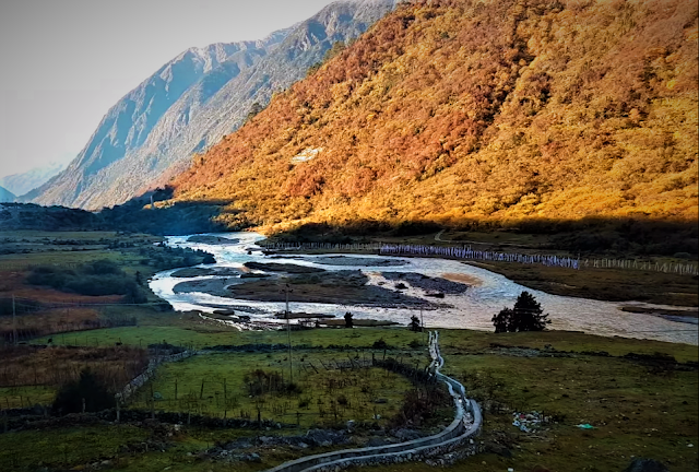 Yumthang Valley