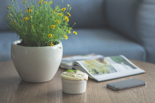 plante verte fleurs jaunes