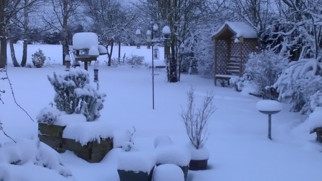 Snow covered garden