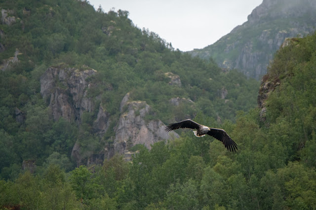 Lofoten