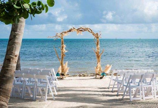 Beach Wedding Driftwood Arch