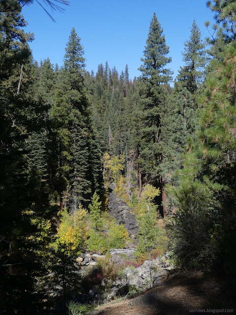 29: lesser line of yellow trees