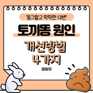 토끼똥-원인을-알아봅시다
