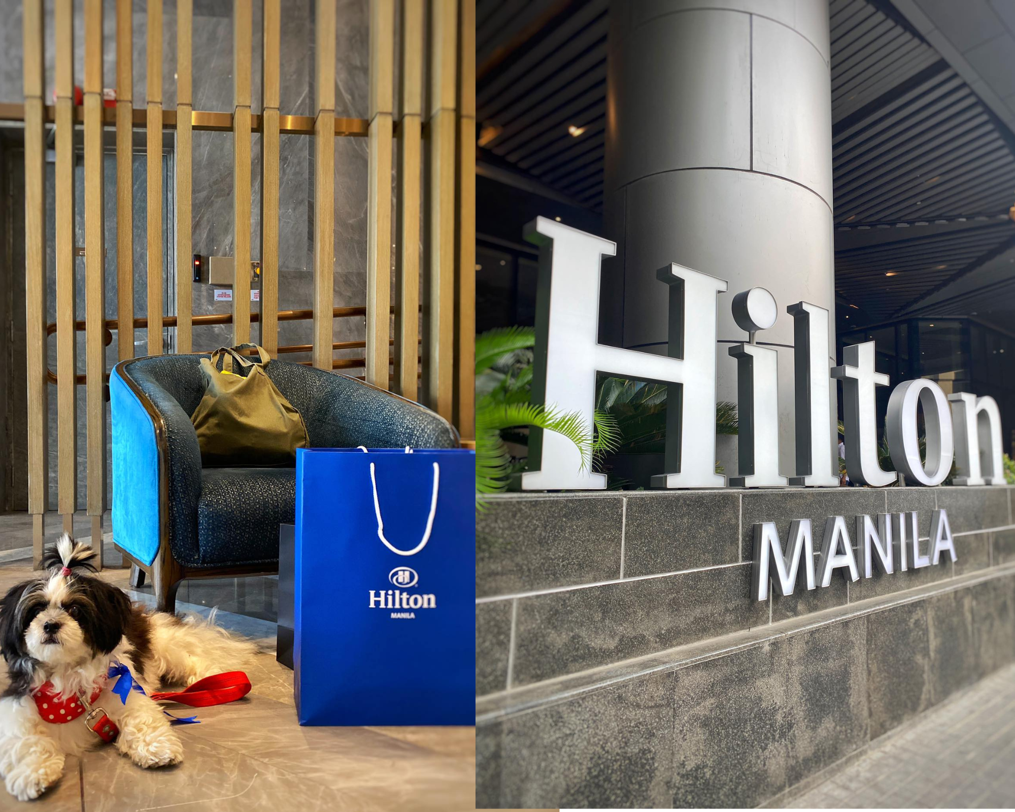 pet friendly hotel rooms in manila