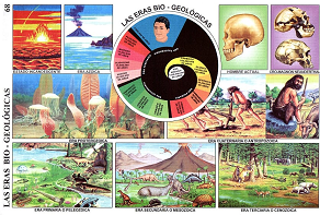  LAS ERAS BIO-GEOLÓGICAS 