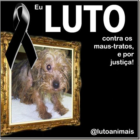 luto_animais