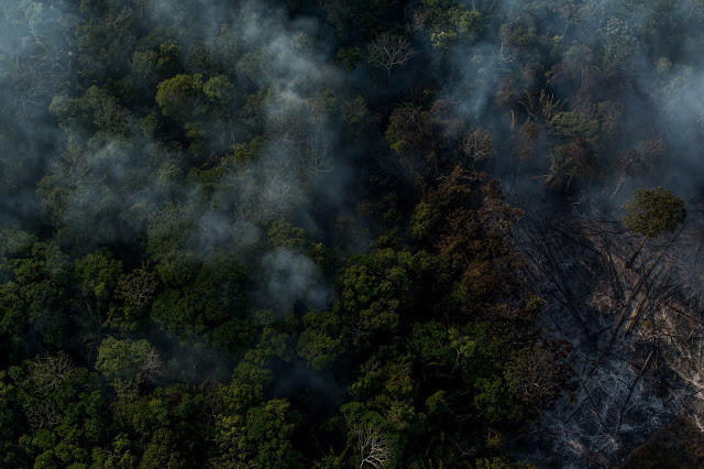 Fogo na Amazônia. Foto: Flavio Forner/Ambiental Media