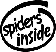 spiders