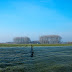 Opnieuw schonere lucht in Zuid-Holland