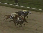 Greatest finish to a horse race ever