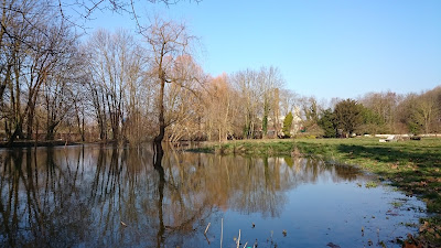 La crue de la Vesle dans un parc