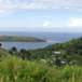 View album
