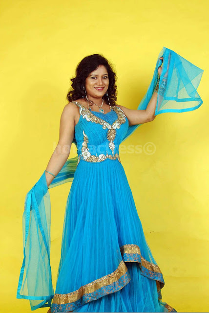 Kannada Actress Priya Hassan Saree Stills