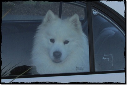 Stowaway