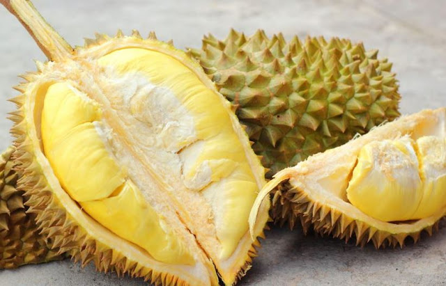 Bahaya Terlalu Banyak Makan Buah Durian