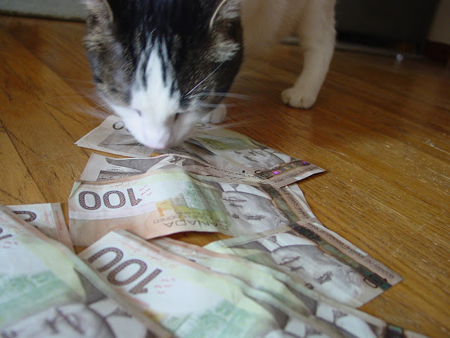 meow money (or meowney) by Travis Nicholson! from flickr (CC-NC)