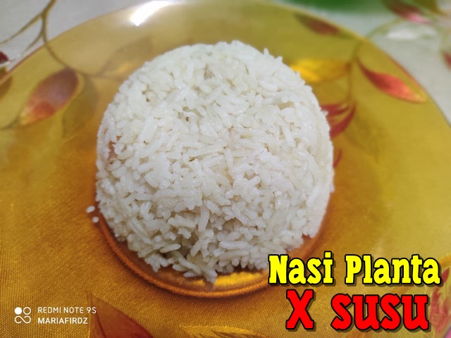 Resepi Nasi Planta Tanpa Susu, Mudah dan Sedap!