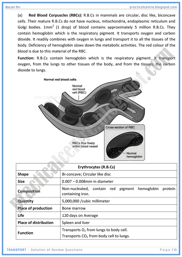 transport-review-question-answers-biology-9th-notes