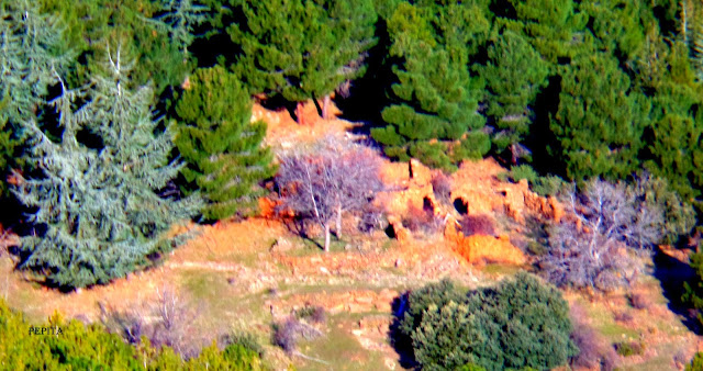 Cortijos Sierra Nevada.Jérez del Marquesado