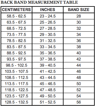 Learn About What the Smallest Bra Size Is