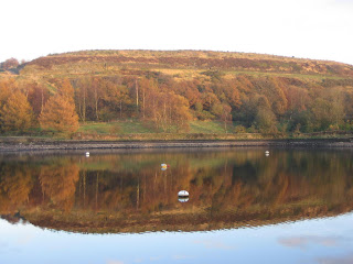 Still water at Doe Park