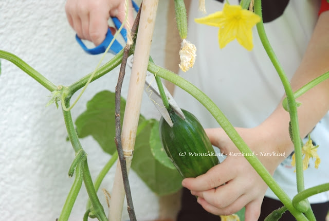 Gartenarbeit mit Kindern. Wertvoll und voller Möglichkeiten zum Kompetenzerwerb. Selbstwirksamkeit, Verantwortung, Vertrauen. Das eigene Tun bewirkt etwas. Ich leiste meinen Beitrag! Gartenarbeit ist Montessori.