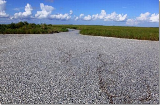 road_01[5]