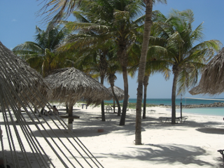 Aruba - Palm/Eagle Beach - Shady Palms and White Sand