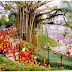 Thuong Temple Spring Festival Sapa