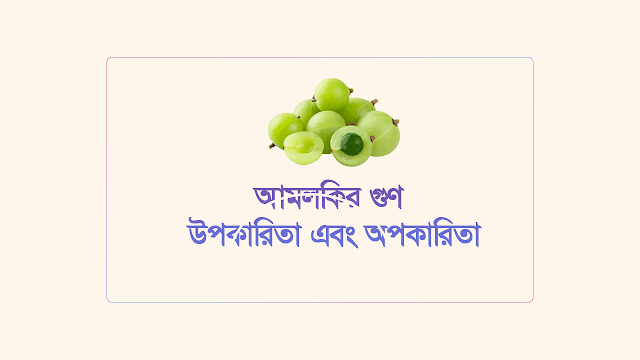 আমলকির যত গুণ ও উপকারিতা