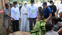 Pemkab Pesibar dan Baznas Potong Delapan Ekor Sapi Kurban